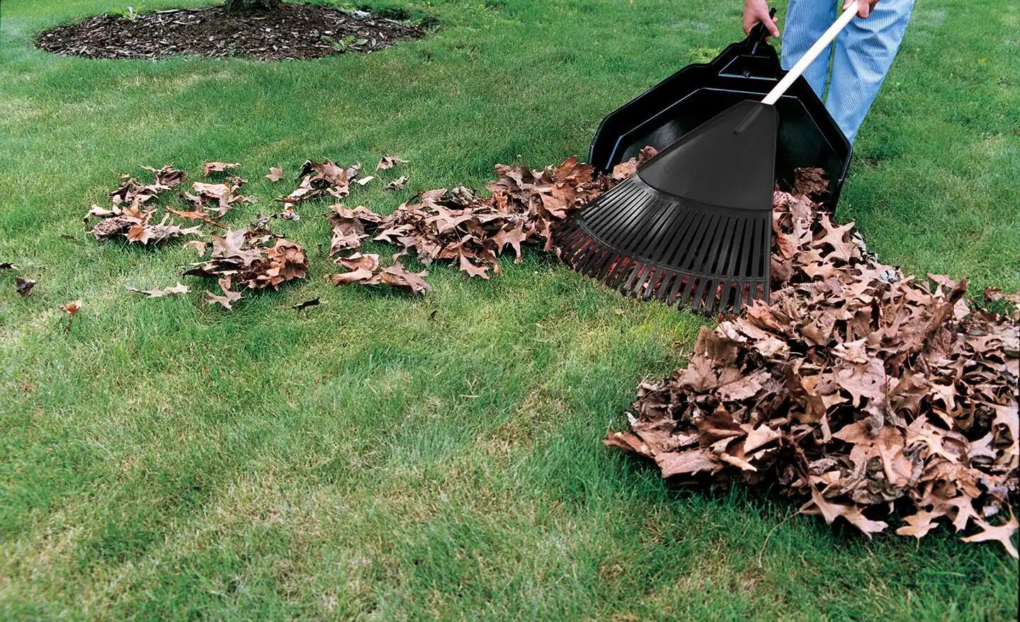 Yard cleanup service removing leaves and debris in Aurora Illinois